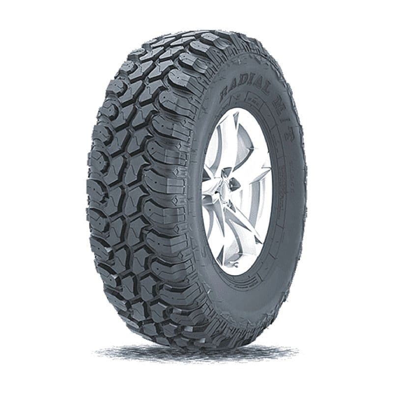 Neumático Chaoyang SL369 225/70R17 108S